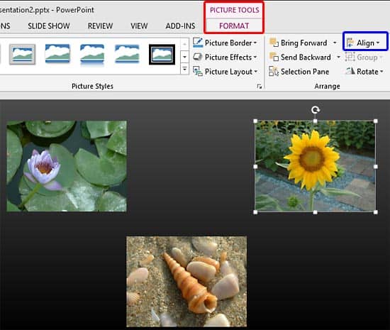 Align and Distribute Pictures in PowerPoint