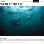 Photo Album Ideas and Samples in PowerPoint