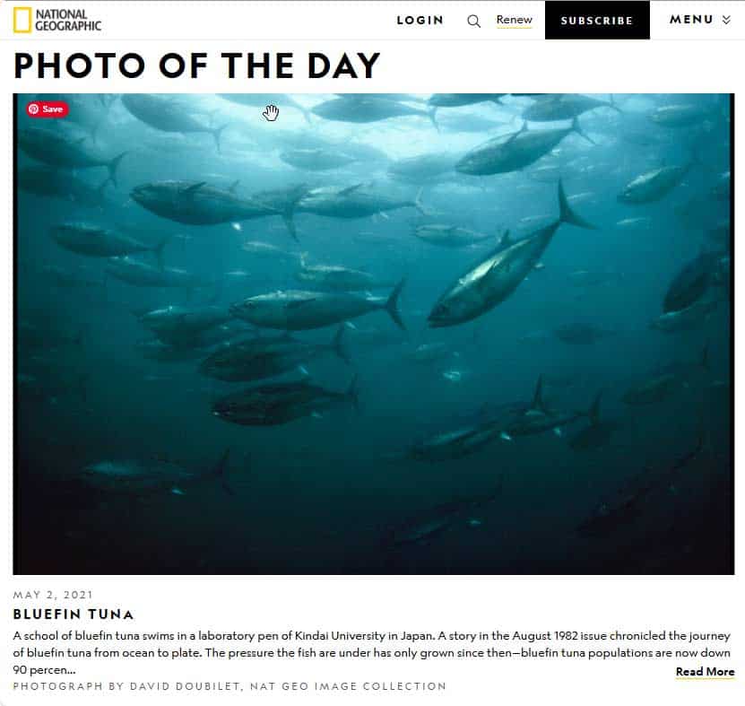 Photo Album Ideas and Samples in PowerPoint