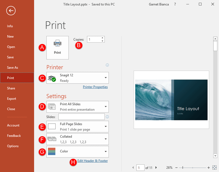 Print Option in PowerPoint