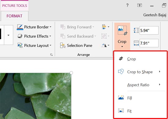 Crop Pictures within PowerPoint Touch