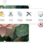 Picture Floatie within PowerPoint Touch