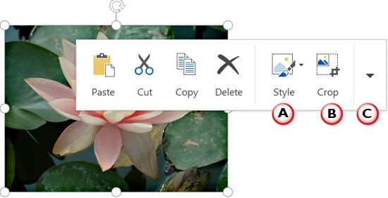 Picture Floatie within PowerPoint Touch