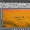 Picture Fills for Slide Backgrounds in PowerPoint