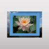 Reorder Pictures in PowerPoint